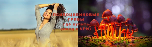 таблы Арсеньев