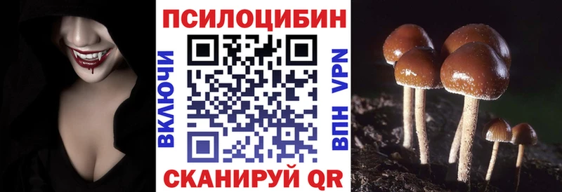 Псилоцибиновые грибы Psilocybine cubensis  Нижний Ломов 